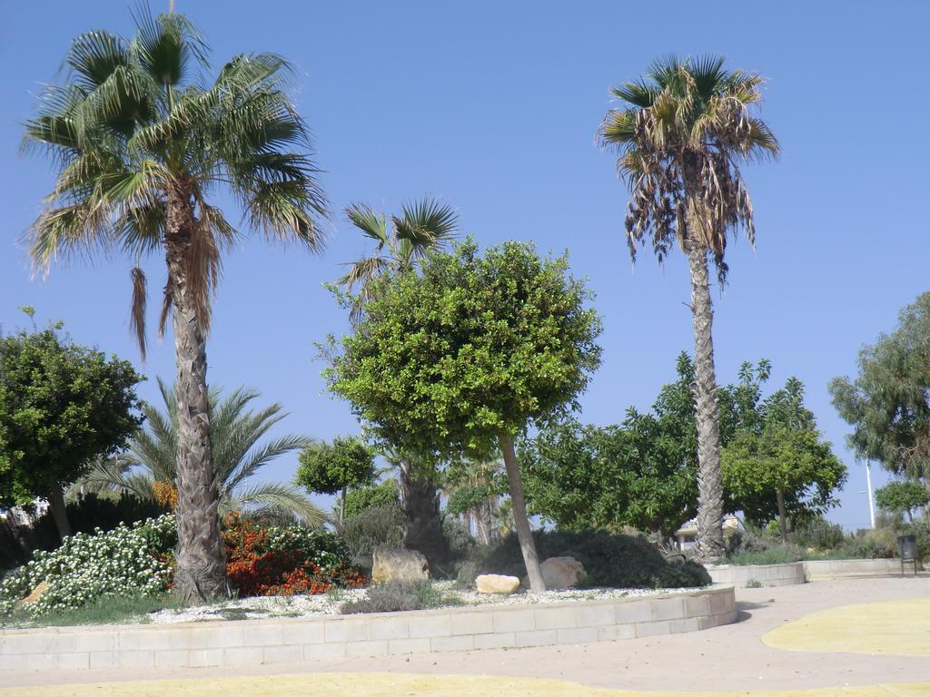 Casa En La Costa Villa Torrevieja Exterior photo